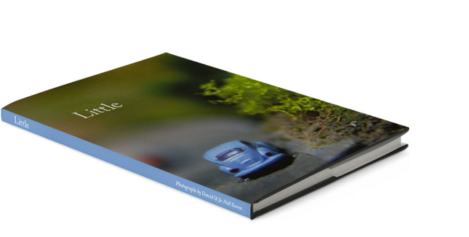 Little, the book
